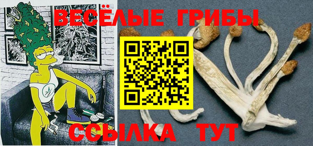 Псилоцибиновые грибы GOLDEN TEACHER  Галлюциногенные грибы Cubensis  Вход с VPN  Северобайкальск 